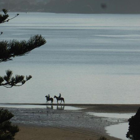 Changing Tides Bnb Paihia Exteriör bild