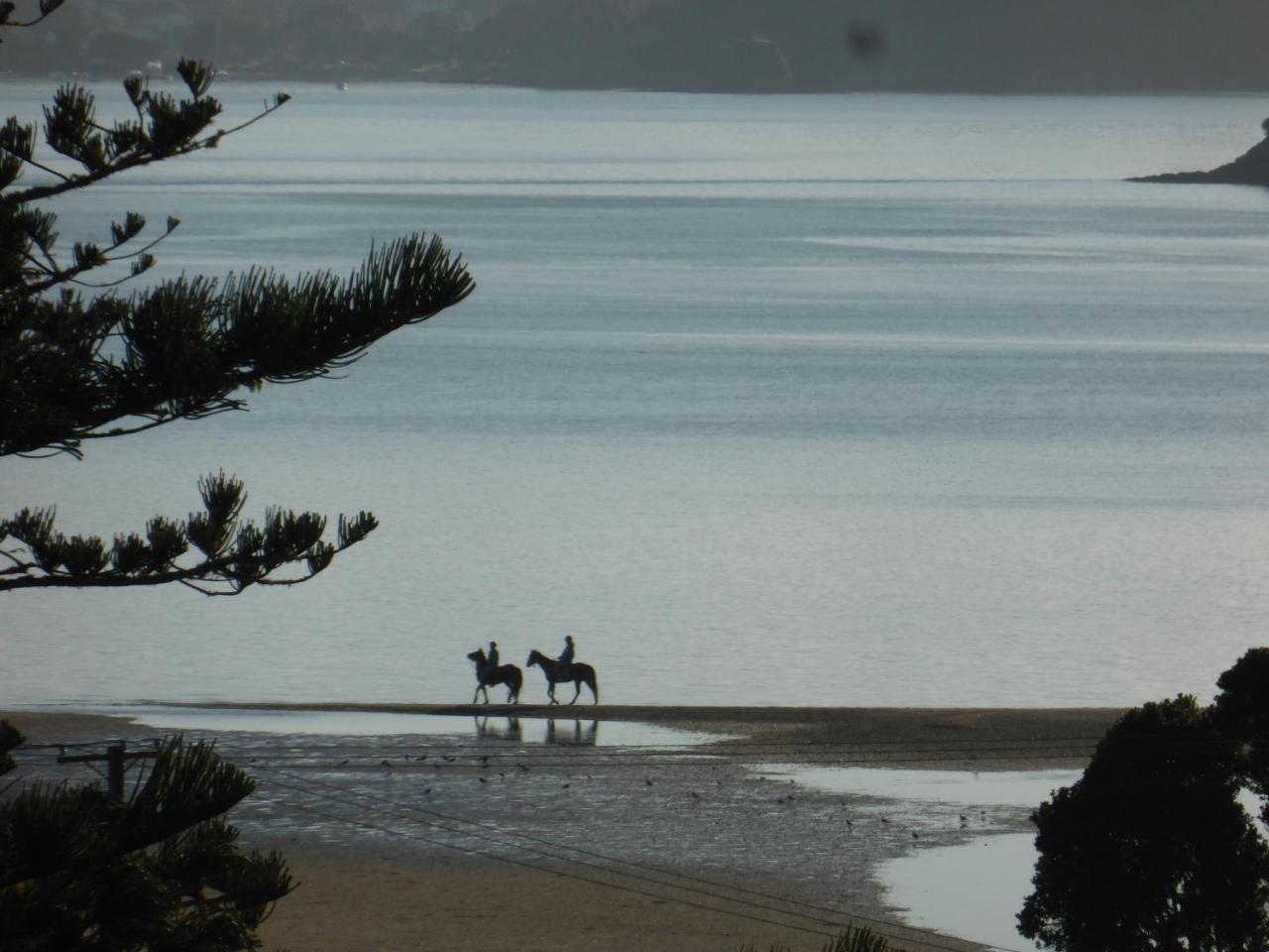 Changing Tides Bnb Paihia Exteriör bild