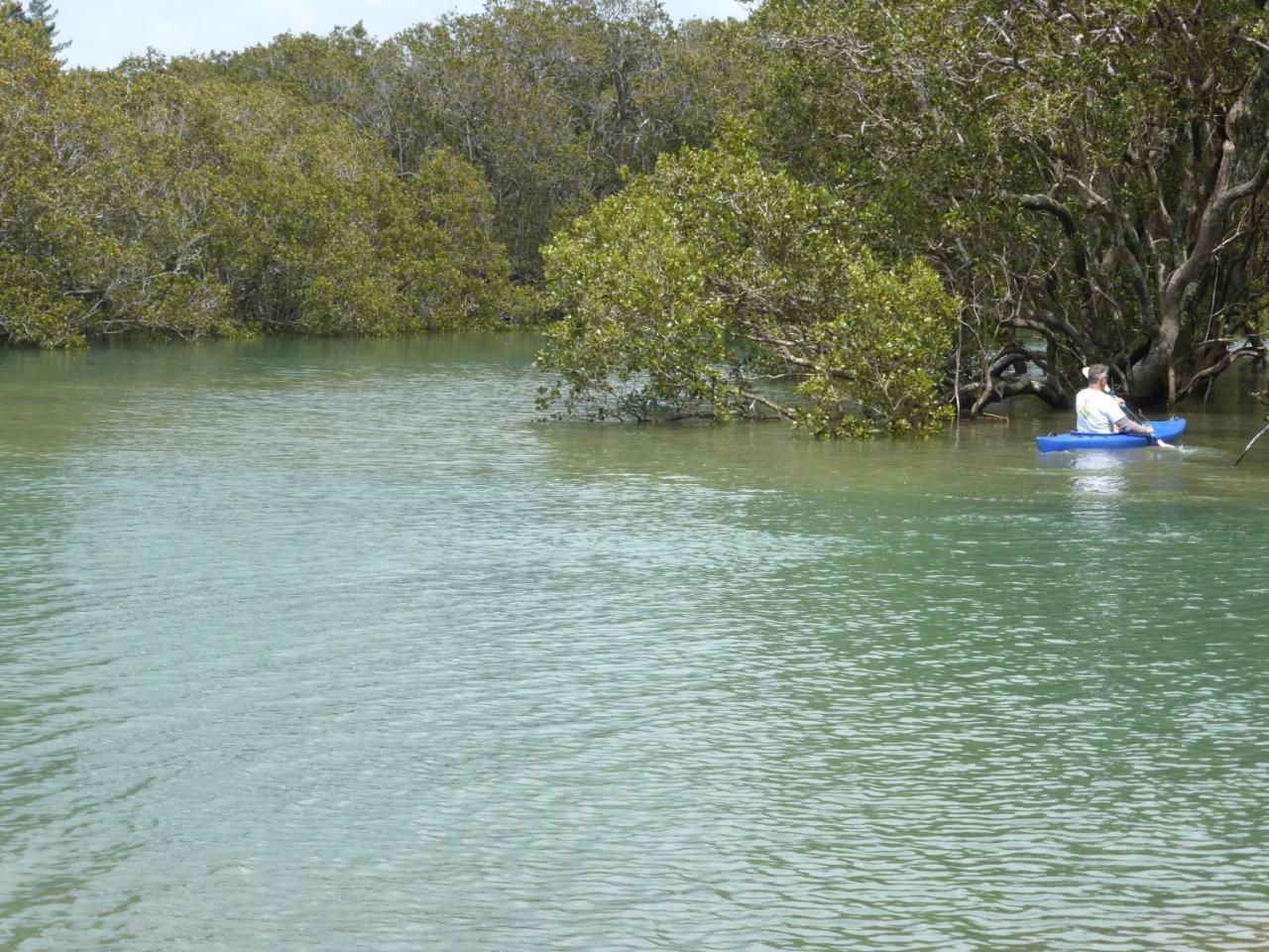 Changing Tides Bnb Paihia Exteriör bild